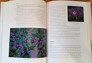 A Book of Blue Flowers.