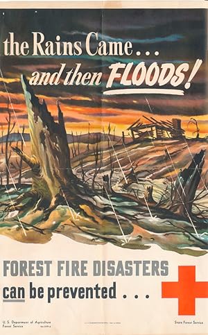 the Rains Came. and then FLOODS! FOREST FIRE DISASTERS can be prevented.