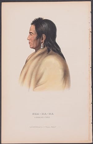 Sha-Ha-Ka, A Mandan Chief