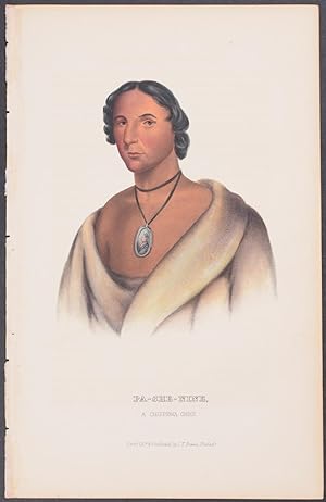Pa-She-Nine, A Chippewa Chief