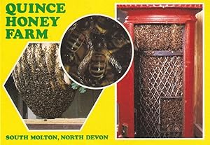 Quince Honey Farm Devon Beekeeping Bees South Molton Advertising Postcard