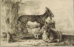 Three Goats and Two Squirrels. First edition.