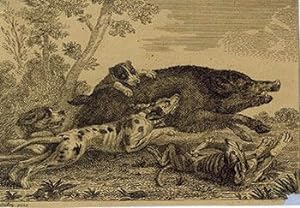 Dogs Attacking a Wild Boar. First edition.