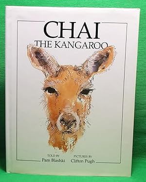 Chai the Kangaroo