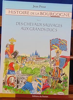Histoire de la Bourgogne, Tome 1 : Des Chevaux Sauvages aux Grands Ducs