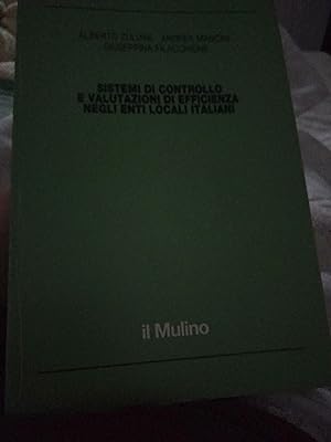 Sistemi e valutazioni di efficienza negli enti locali italiani