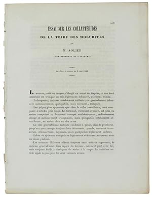 ESSAI SUR LES COLLAPTERIDES DE LA TRIBU DES MOLURITES. Lu dans la séance du 8 mai 1842: