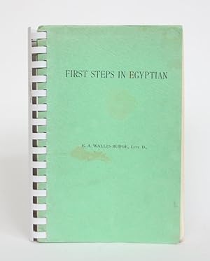 First Steps in Egyptian: A Book for Beginners