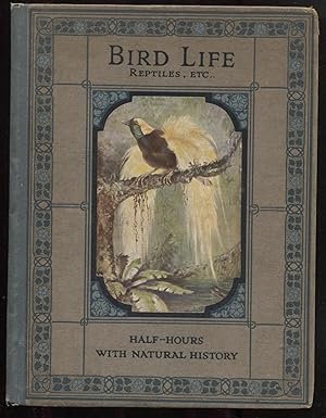 Bird Life and Reptiles and Amphibians