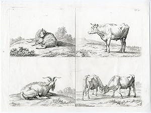 BULL-SHEEP-GOAT-CATTLE-FARM ANIMALS Vincenzo ALOJA after , 1814
