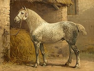 Horse-breeds-Percheron After EERELMAN, c.1898