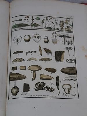 Pierre BULLIARD Dictionnaire Élémentaire de Botanique Paris: 1812