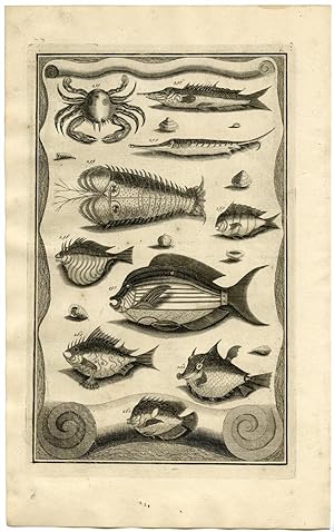 Antique Print-TROPICAL FISH-SHELL-CRAB-INDONESIA-XXX-VALENTIJN-ELLIGER-1724