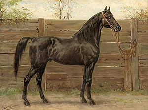 Horse-breeds-Trakehner After EERELMAN, c.1898