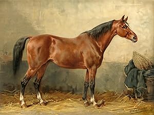 Horse-breeds-Mecklenburg-Mecklenburgsche Paard After EERELMAN, c.1898