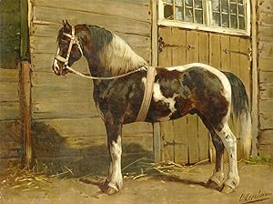 Horse-breeds-Danish Horse-Deensche Paard After EERELMAN, c.1898