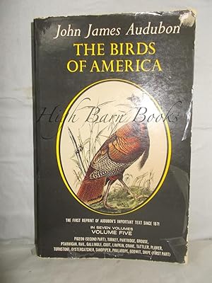 The Birds of America, Volume Five