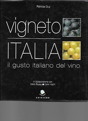 Vigneto Italia: il gusto italiano del vino