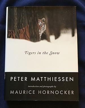 TIGERS IN THE SNOW; Peter Matthiessen / Introduction and photographs by Maurice Hornocker
