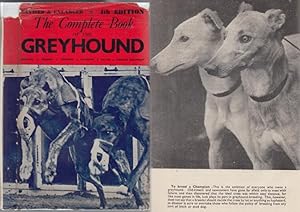 The Complete Book of the Greyhound Including Special Articles on the Greyhound in Ireland, Great ...