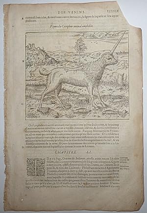 16th-century leaf with an illustration of a type of Unicorn known as a Camphur from Ambroise Paré...
