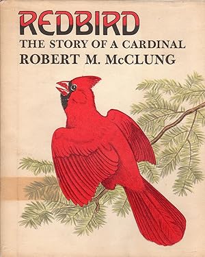 Redbird: The Story of a Cardinal (with original drawing)