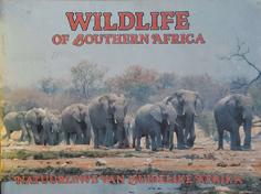 Wildlife of Southern Africa - Natuurlewe van Suidelike Afrika