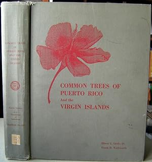 Common Trees of Puerto Rico and the Virgin Islands