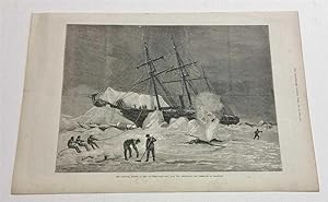 The Pandora Nipped in the Ice Melville Bay Cpt Allen Young 1876 Ship Print