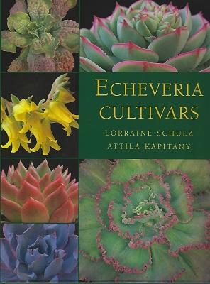 Echeveria Cultivars