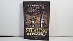 Stealing Life in America