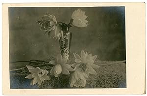 VASE OF FLOWERS REAL PHOTO POSTCARD 1913