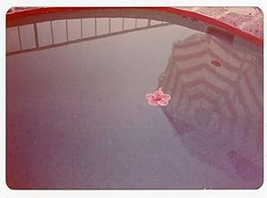 A FLOWER IN A POOL WITH ODD REFLECTION VINTAGE SNAPSHOT
