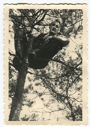 YOUNG FANCY MAN PERCHED IN A TREE VINTAGE SNAPSHOT PHOTO