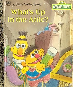 What's Up In The Attic