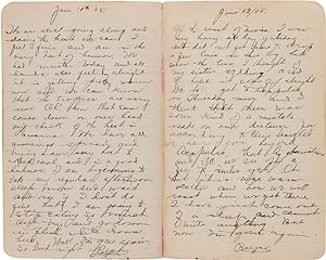 [TWO JOURNALS KEPT BY YEOMAN RALPH A. GOULD ABOARD THE U.S.R.S. INDEPENDENCE, THE U.S.S. PETREL, ...