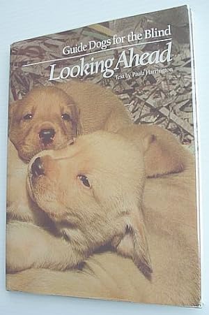 Looking Ahead - Guide Dogs for the Blind