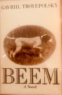 Beem A Novel