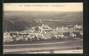 Carte postale Bligny-sur-Ouche, Vue générale