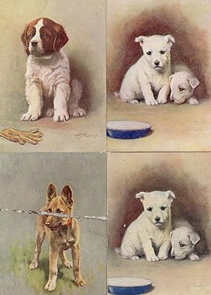 Dogs & Puppy Puppies De Reszke Cigarette St Bernard Alstation 4x Postcard s