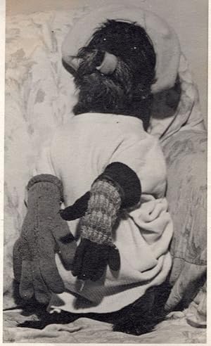 Dog Dressed in Fancy Dress Outfit Antique Comic Real Old Photo
