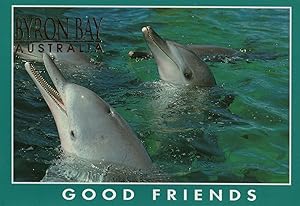 Dolphins At Byron Bay NSW Australian Postcard