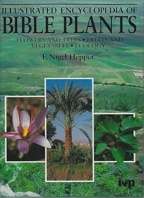 Illustrated Encyclopedia of Bible Plants : Flowers and Trees, Fruits and Vegetables, Ecology