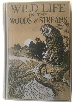 Wild Life In The Woods & Streams - Rambling Letters