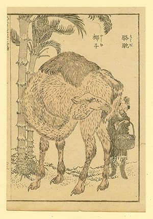 Antique Print-DROMEDARY UNDER PALM TREE-CAMEL-EHON-Anonymous-c.1850