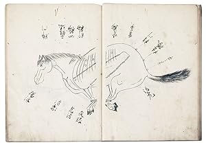 Manuscript on paper, entitled on upper cover in manuscript "Uma tsukaikata. Gozo ron hiso" ["For ...