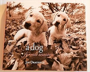 A Dog for all Seasons