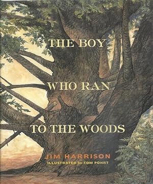 The Boy Who Ran To The Woods