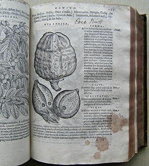 Compendium e Plantis omnibus, vnà cum earum iconibus, de quibus scripsit suis in commentariis in ...