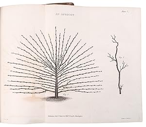 [Early 19th century manuscript diary of an English gardener recording his care of fruit trees and...
